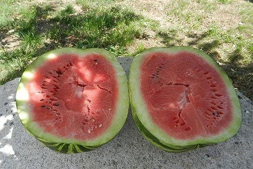 梦见别人给我吃瓜食物,瓜果飘香，共享梦境中的美味佳肴